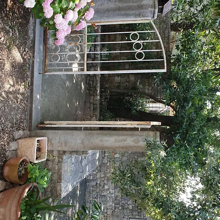 Svijetlana Appartement